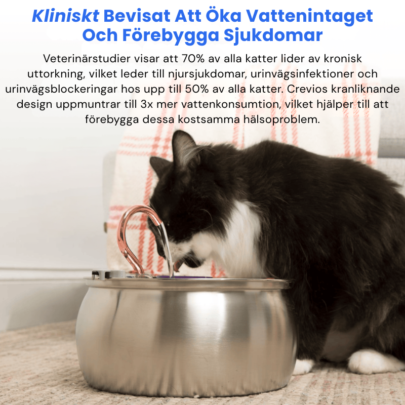 KittyFlow™ - Skydda din katt från uttorkning