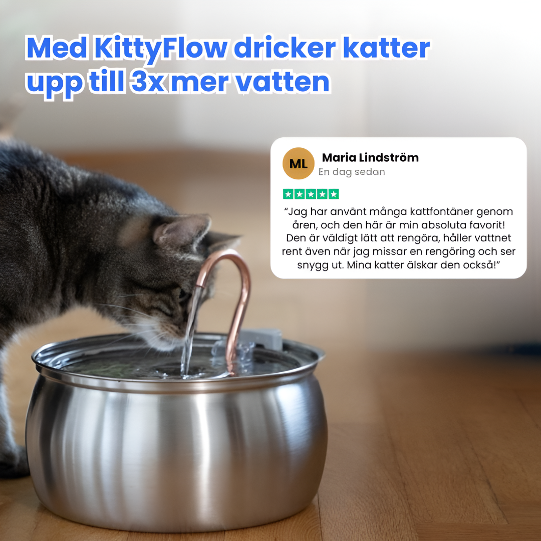 KittyFlow™ - Skydda din katt från uttorkning