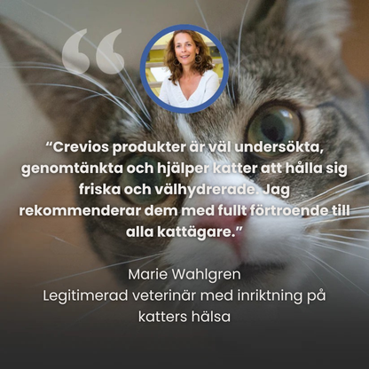 KittyFlow™ - Skydda din katt från uttorkning